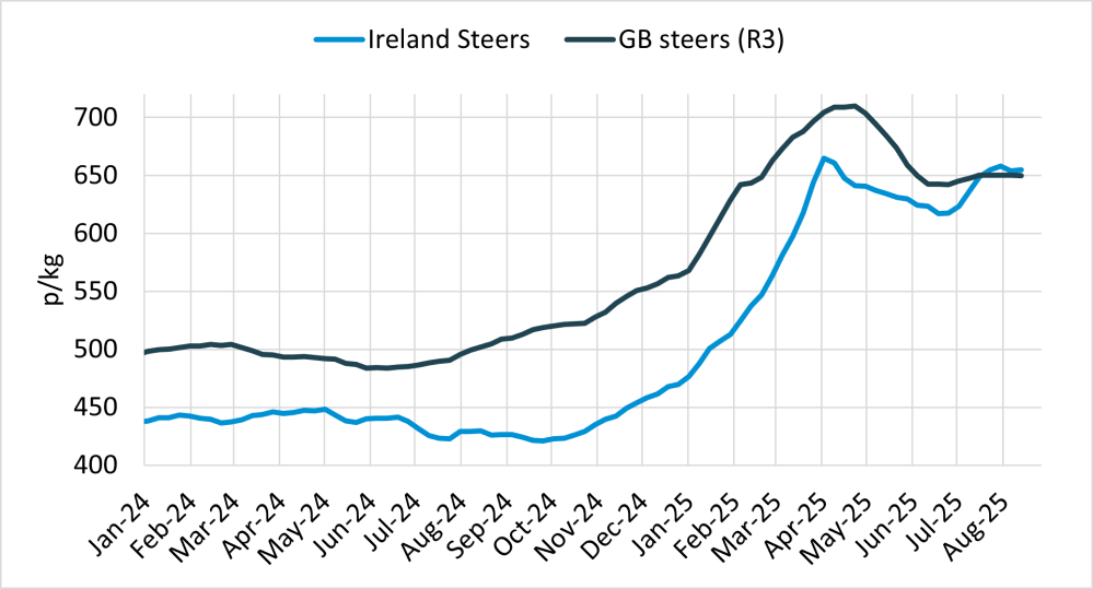 irish gb steer prices